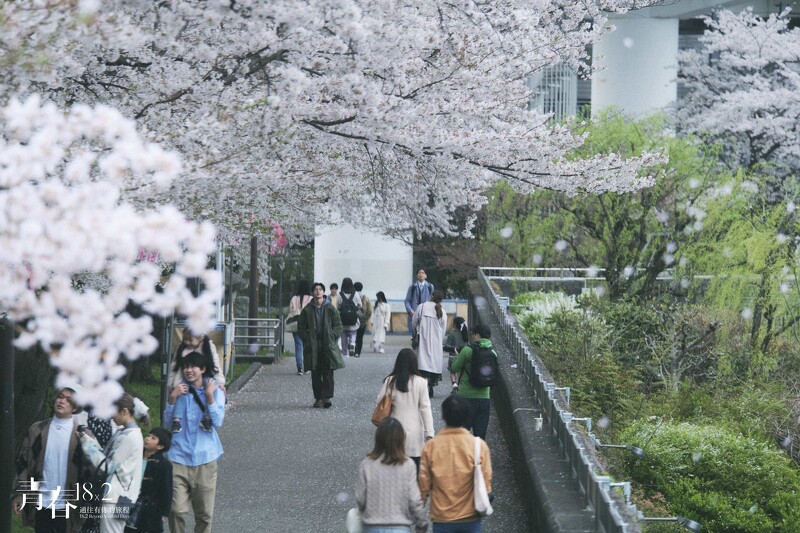 《青春18x2 通往有你的旅程》Jimmy漫步於東京賞櫻名所「隅田公園」