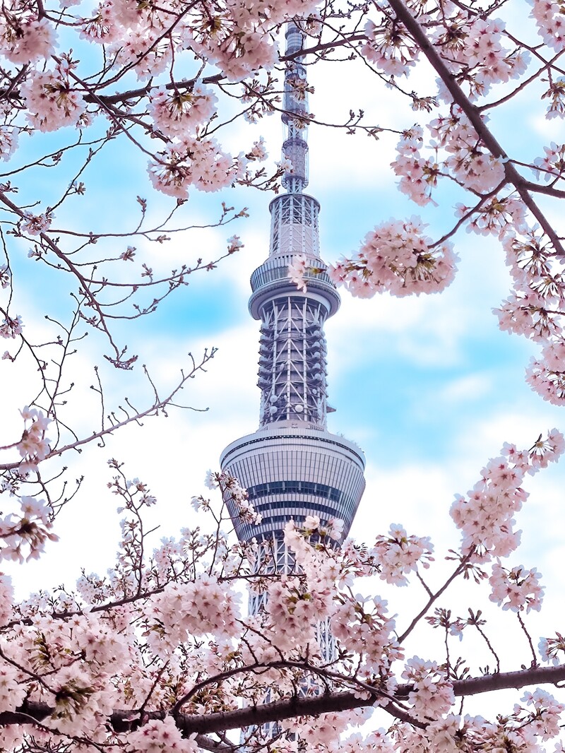 晴空塔。