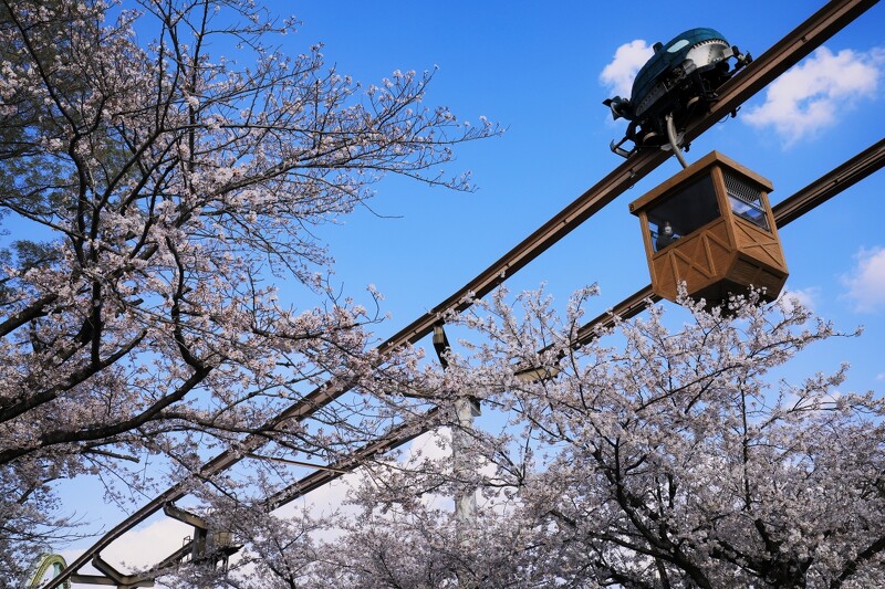 單軌列車「空運飛魚Express」。
