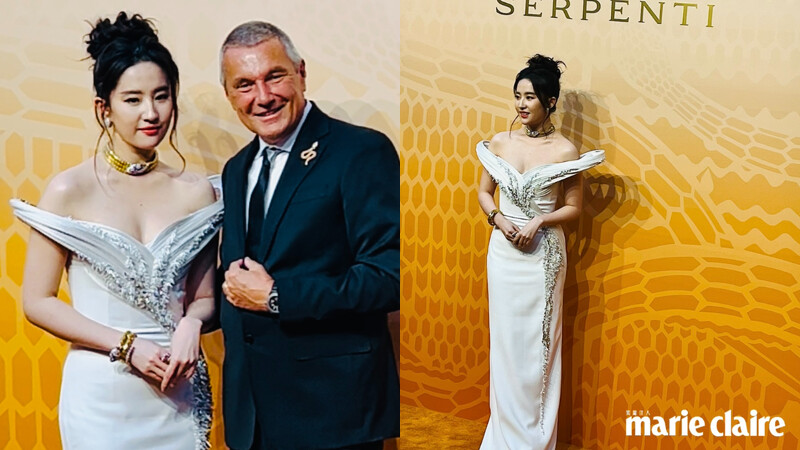 全球品牌代言人神仙姐姐劉亦菲盛裝出席藝術展開幕之夜。
