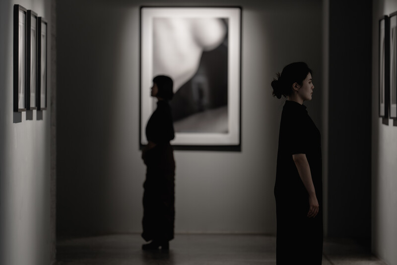 圖片提供/永添藝術.金馬賓館 ALIEN Art Centre