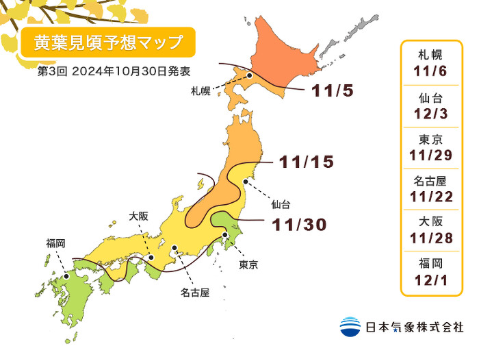 2024日本銀杏最佳觀賞日期出爐