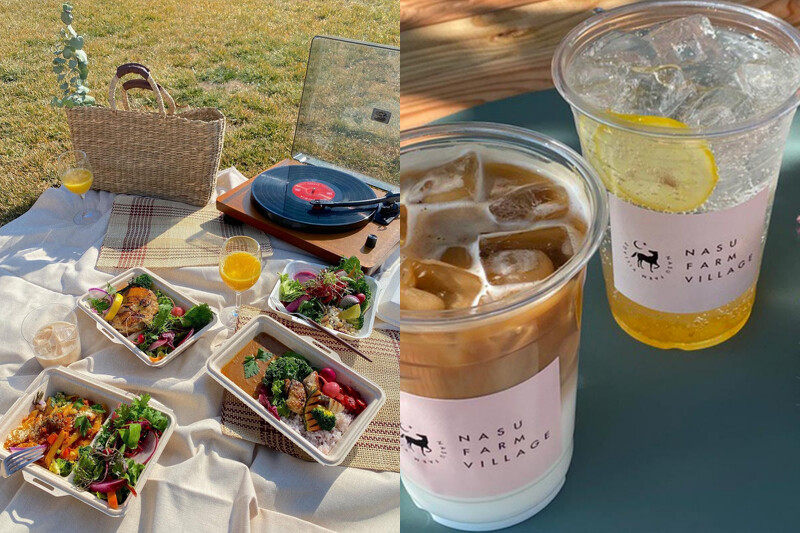 餐盒除了能在餐廳享用,也能在園區內野餐,超愜意。