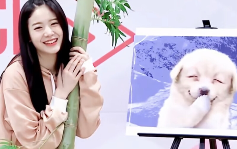 截自Bilibili
