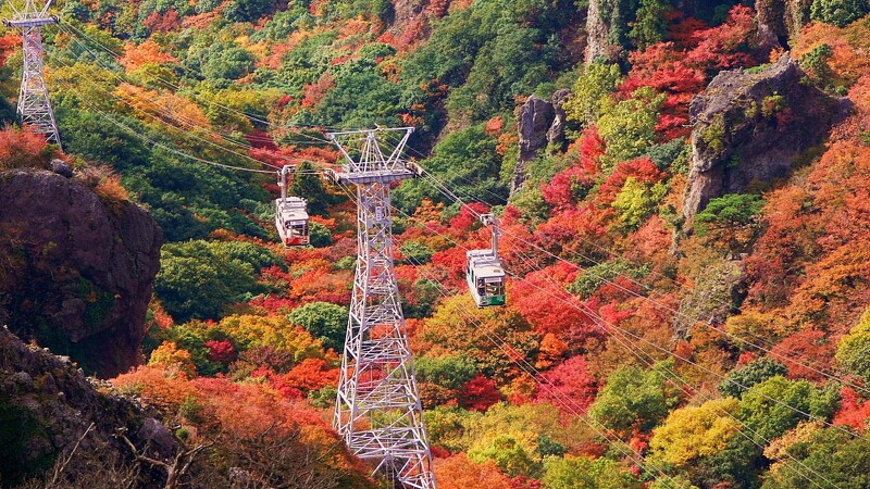 寒霞溪秋楓景色,Photo/www.my-kagawa.jp