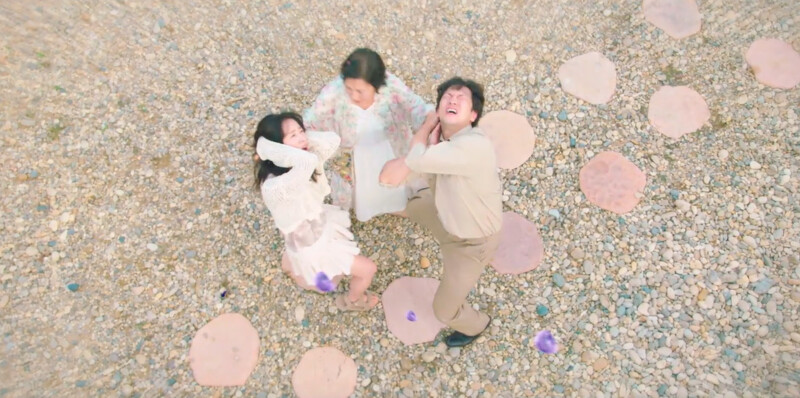 海淑怒抓樂俊、小絮頭髮時,天上立刻降下四個小小的紫色點點─”葡萄”