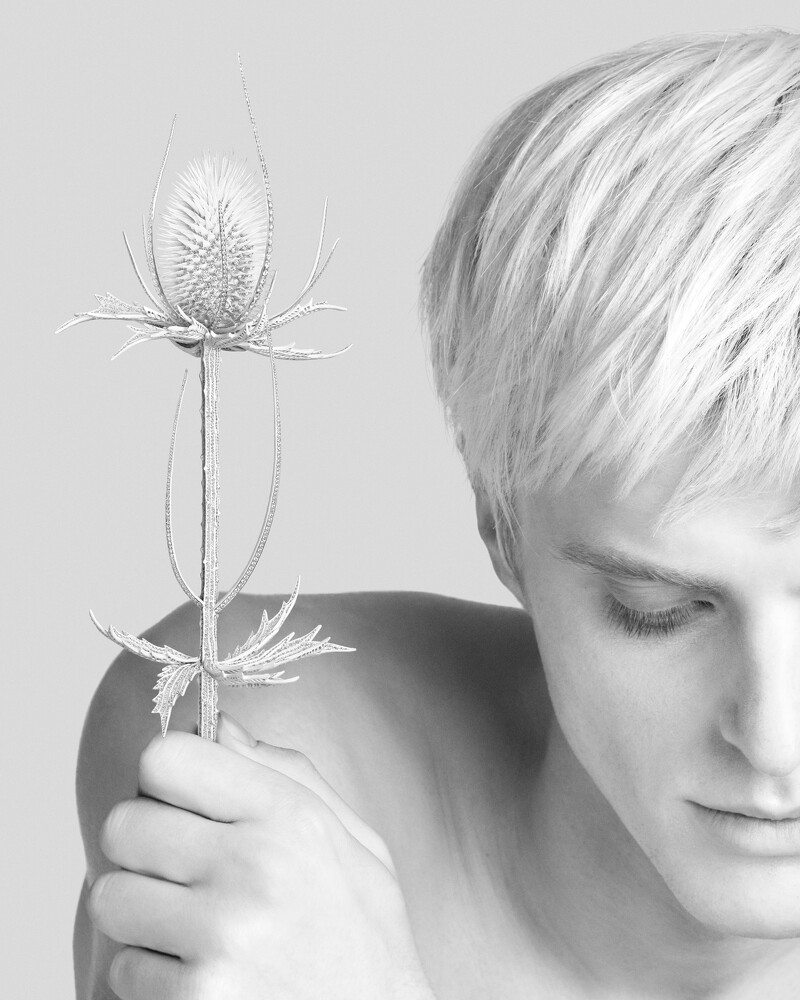 大朵蓟草可拿下以用作胸针,或再转换为跨肩形式珠宝;小朵的蓟草是双指戒,犀角金龟甲虫设计为胸针。