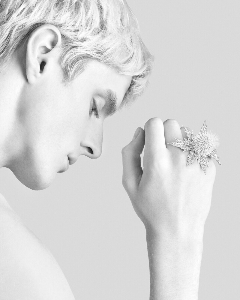 大朵蓟草可拿下以用作胸针,或再转换为跨肩形式珠宝;小朵的蓟草是双指戒,犀角金龟甲虫设计为胸针。