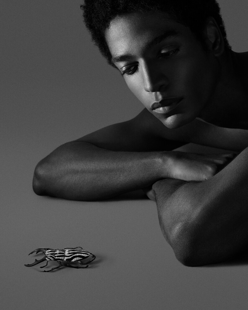 鸢尾花作为肩针;紫藤花内藏梳针机关,可用以髮饰或别针运用;鹿角锹形虫设计为胸针。