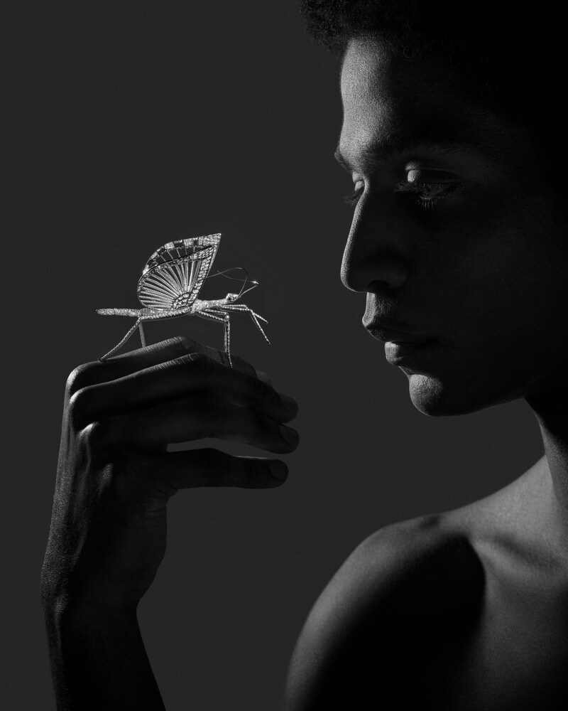 头顶镶有一颗梨形钻石的竹节虫,低调停驻在花枝末端,其腿部结构与造型的纤细和精準也让人惊艳。木兰花能转换作以头饰或项鍊;竹节虫为胸针。