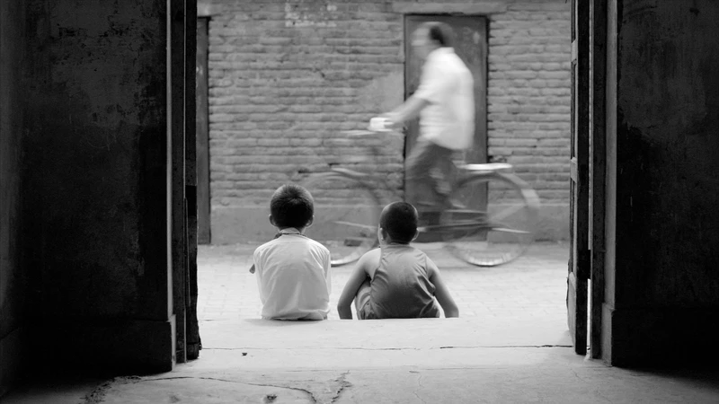 張大磊《八月》 張大磊《八月》