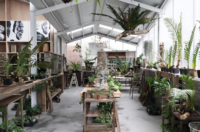 空氣圖書館的室內溫室區,以空氣鳳梨、蕨類、蘭花為主要培養植物 空氣圖書館的室內溫室區,以空氣鳳梨、蕨類、蘭花為主要培養植物