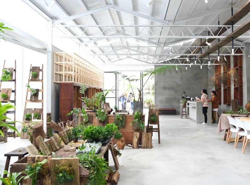 以豆腐版與茶樹作為櫃檯後方的裝飾設計,以古櫥櫃作為伴手禮的陳列傢俱 以豆腐版與茶樹作為櫃檯後方的裝飾設計,以古櫥櫃作為伴手禮的陳列傢俱