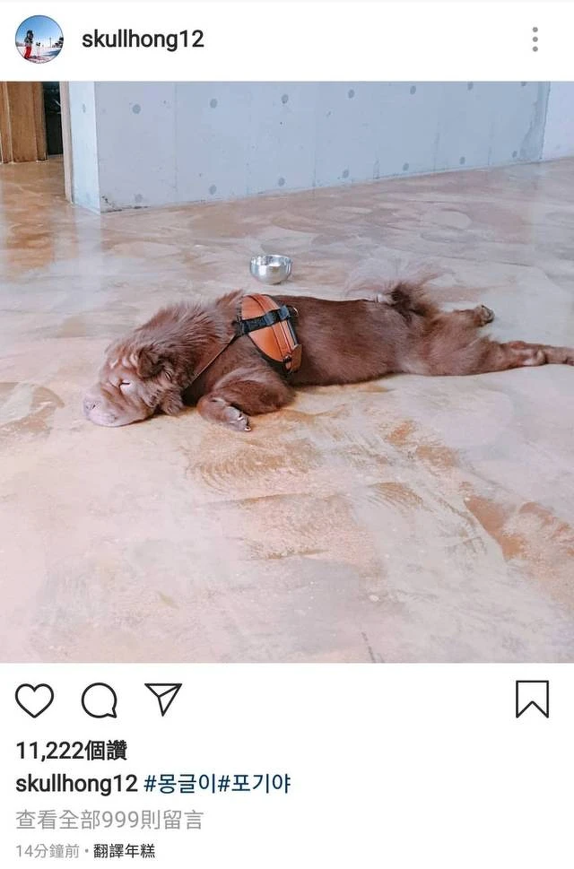 李洪基發文意有所指表示:#已放棄 李洪基發文意有所指表示:#已放棄