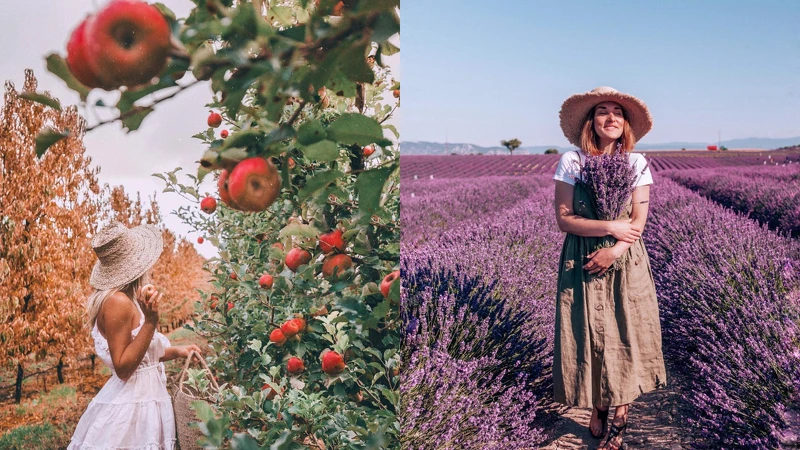 ig@haylsa、pankovajullia