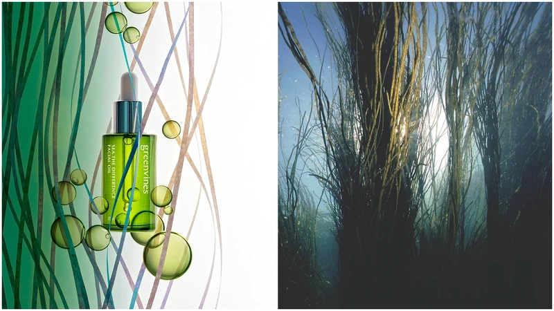 綠藤生機綠色海洋精華油，NT1,980。