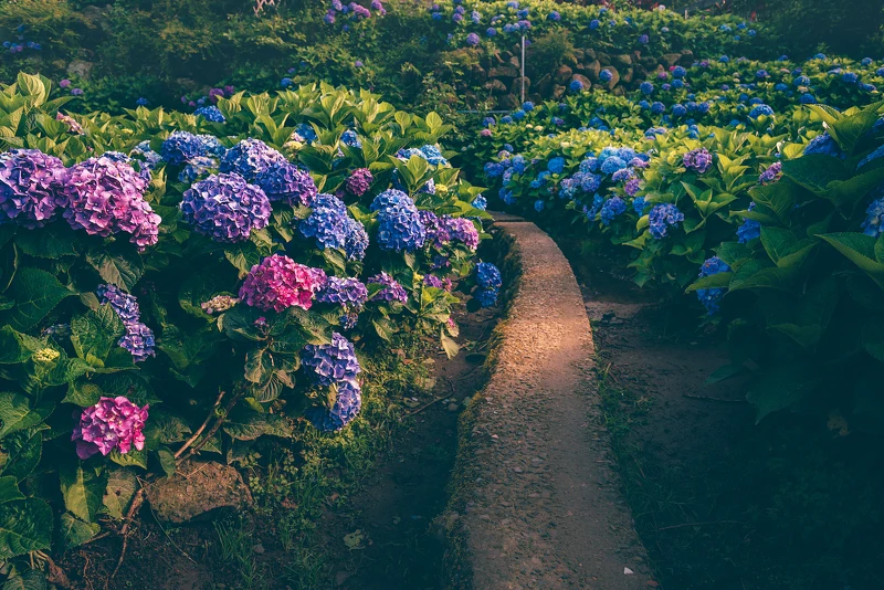 圖片來源@kuo_yencheng 圖片來源@kuo_yencheng