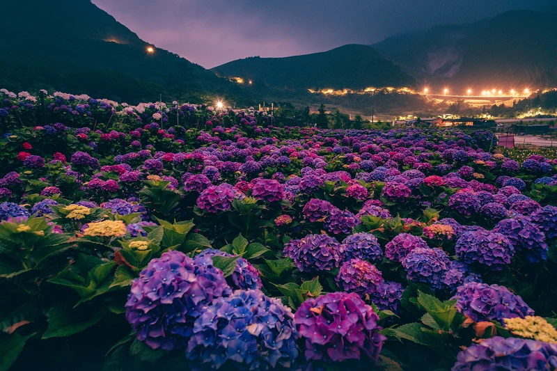 圖片來源@kuo_yencheng 圖片來源@kuo_yencheng