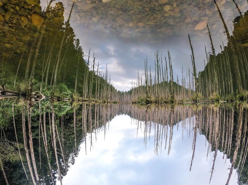 IG@herry_lhw授權提供