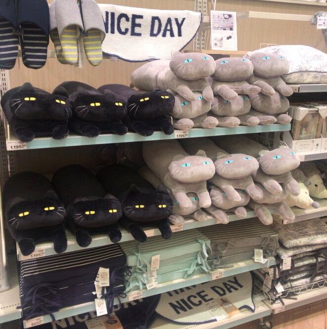 Photo／xprsx Twitter