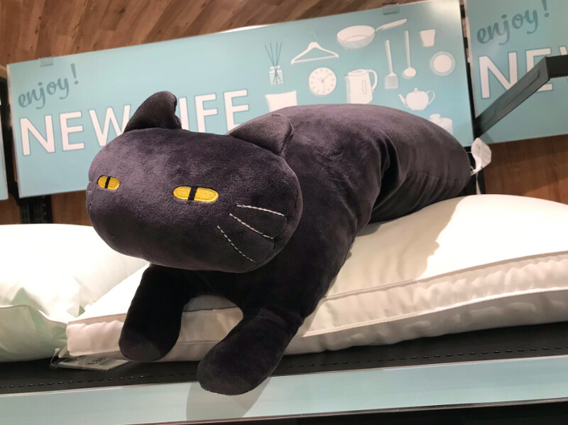 Photo／Elsino_Klaviels Twitter