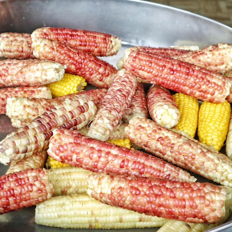 IG@tw_foodaholic提供 IG@tw_foodaholic提供