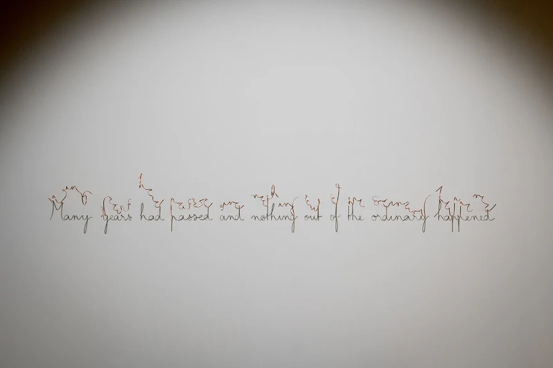 Fred Eerdekens（比利時）作品「經過多年，一切如常」，2010