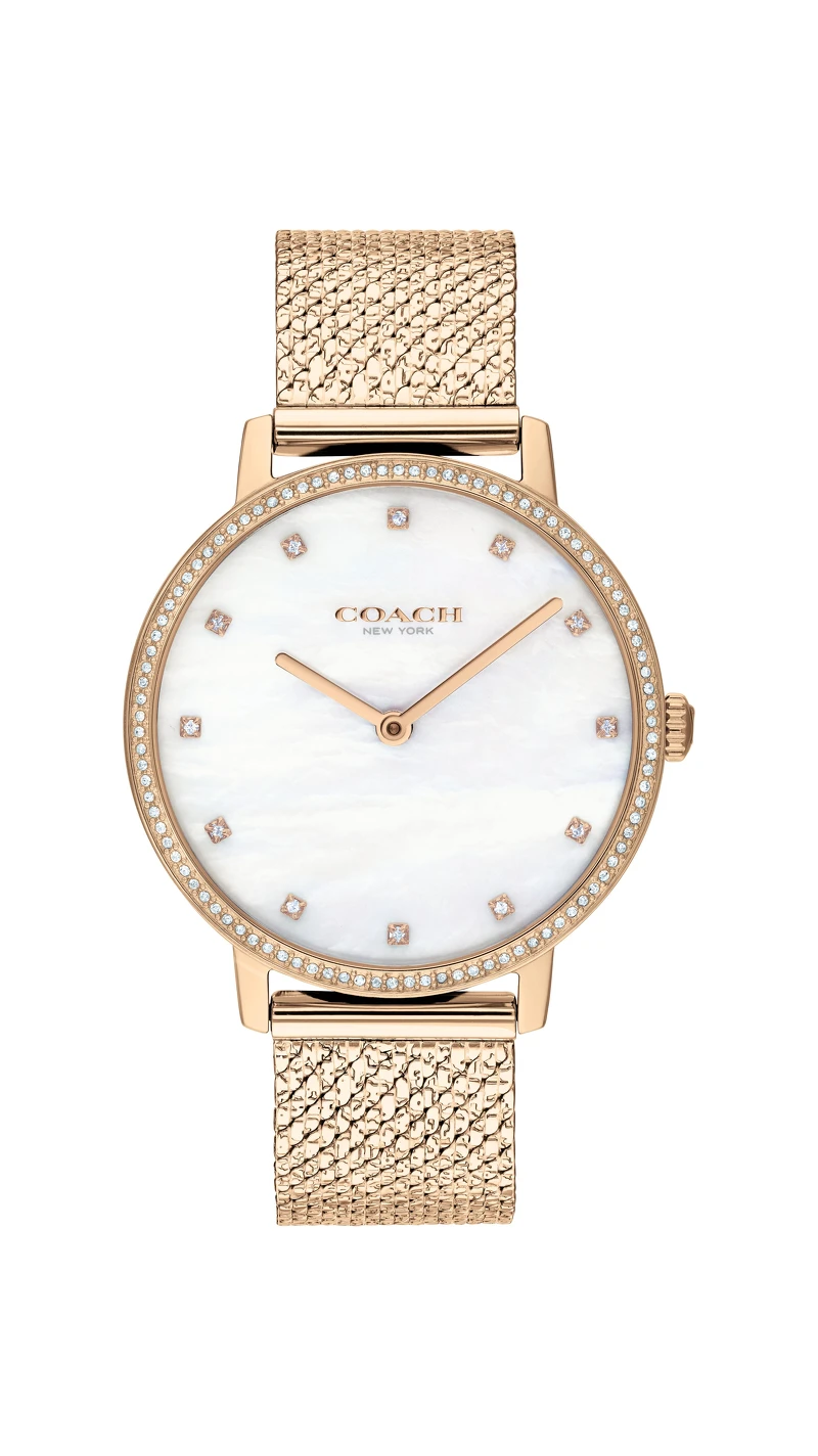 Coach Audrey系列腕錶,NT10,800 Coach Audrey系列腕錶,NT10,800