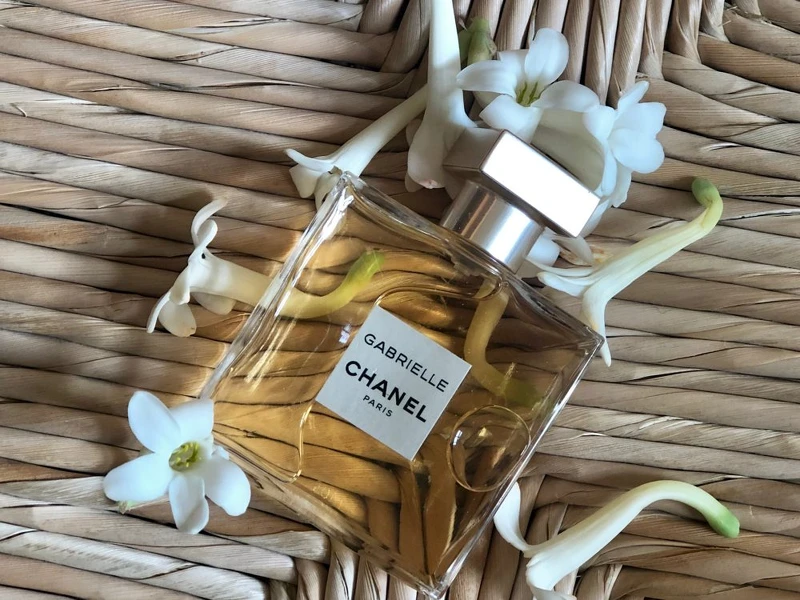 圖中正是格拉斯栽種的晚香玉，由香奈兒花田栽種獨家使用
