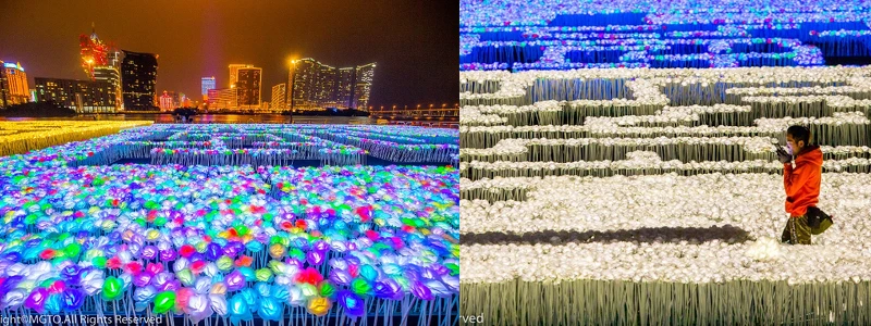 圖說:澳門旅遊局提供 圖說:澳門旅遊局提供