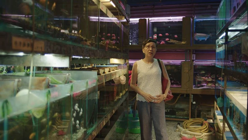 《3天2夜》 《3天2夜》