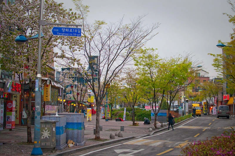 圖片來源:Flickr 圖片來源:Flickr