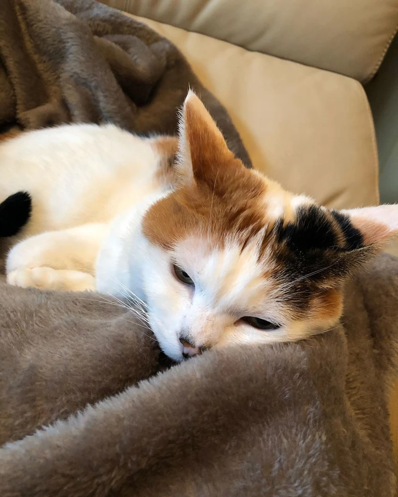 IG@kakorin8787 IG@kakorin8787