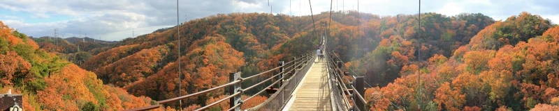 來源/星田園地官網 來源/星田園地官網