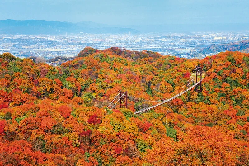 來源/星田園地官網 來源/星田園地官網