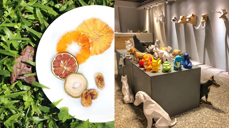 歪果、匠紙 歪果、匠紙