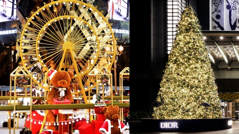 PHOTO／Marie Claire、Studio Millspace