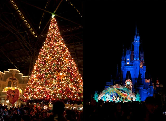 圖片來源:flickr 圖片來源:flickr