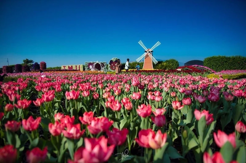 Photo/taichungtravels IG @mico_pikachuuuu  Photo/taichungtravels IG @mico_pikachuuuu