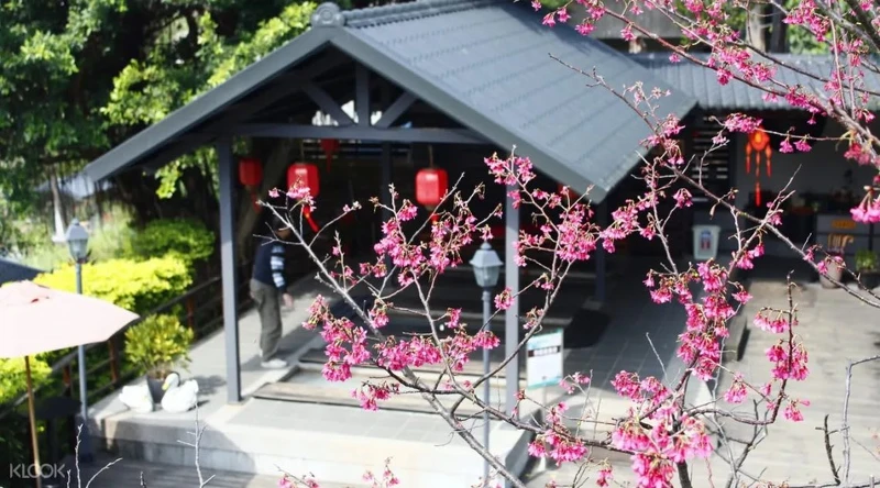 充滿禪意的花園讓你一秒感受日式復古氣氛