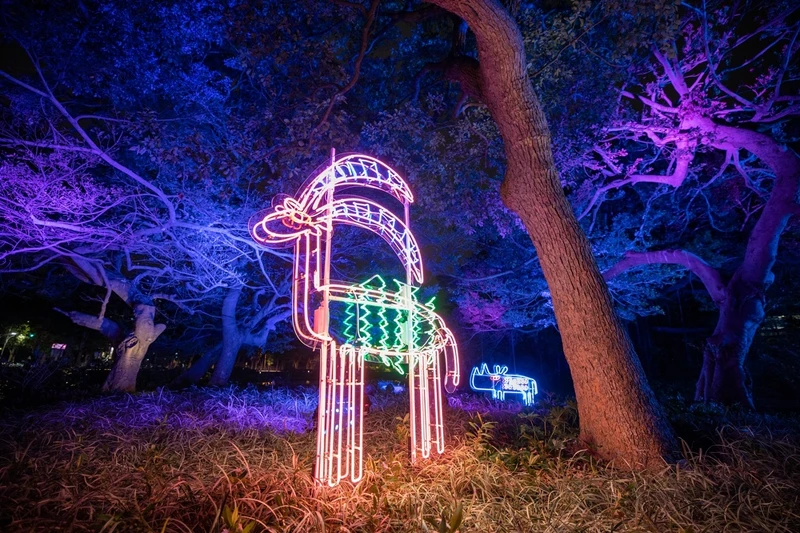 《鳶尾花動物園》 《鳶尾花動物園》