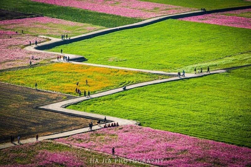Photo／台中觀光旅遊網／tohse