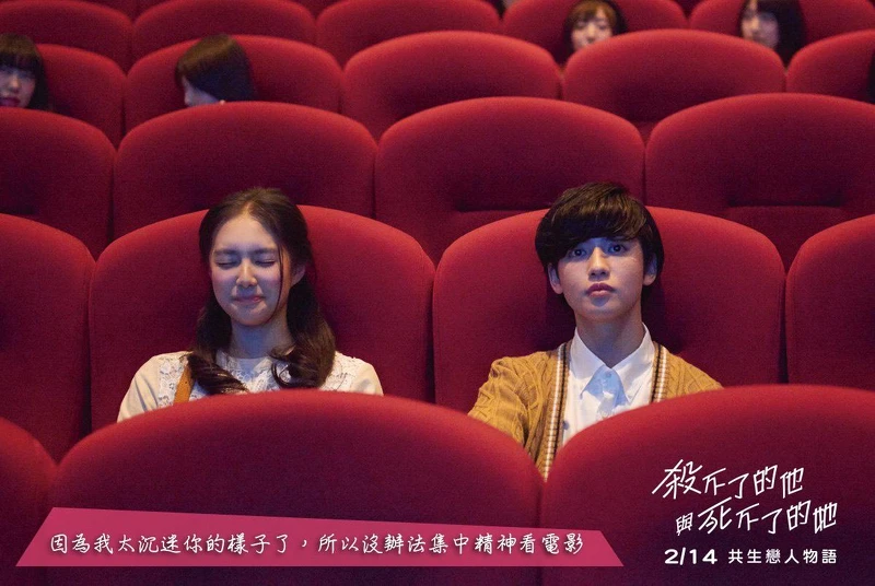 《殺不了的他和死不了的她》電影金句 《殺不了的他和死不了的她》電影金句