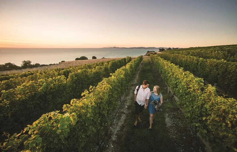 圖片來源:紐西蘭航空 圖片來源:紐西蘭航空