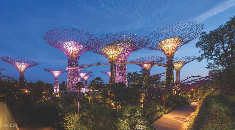夜幕降臨后的濱海灣花園,絢爛迷人 夜幕降臨后的濱海灣花園,絢爛迷人