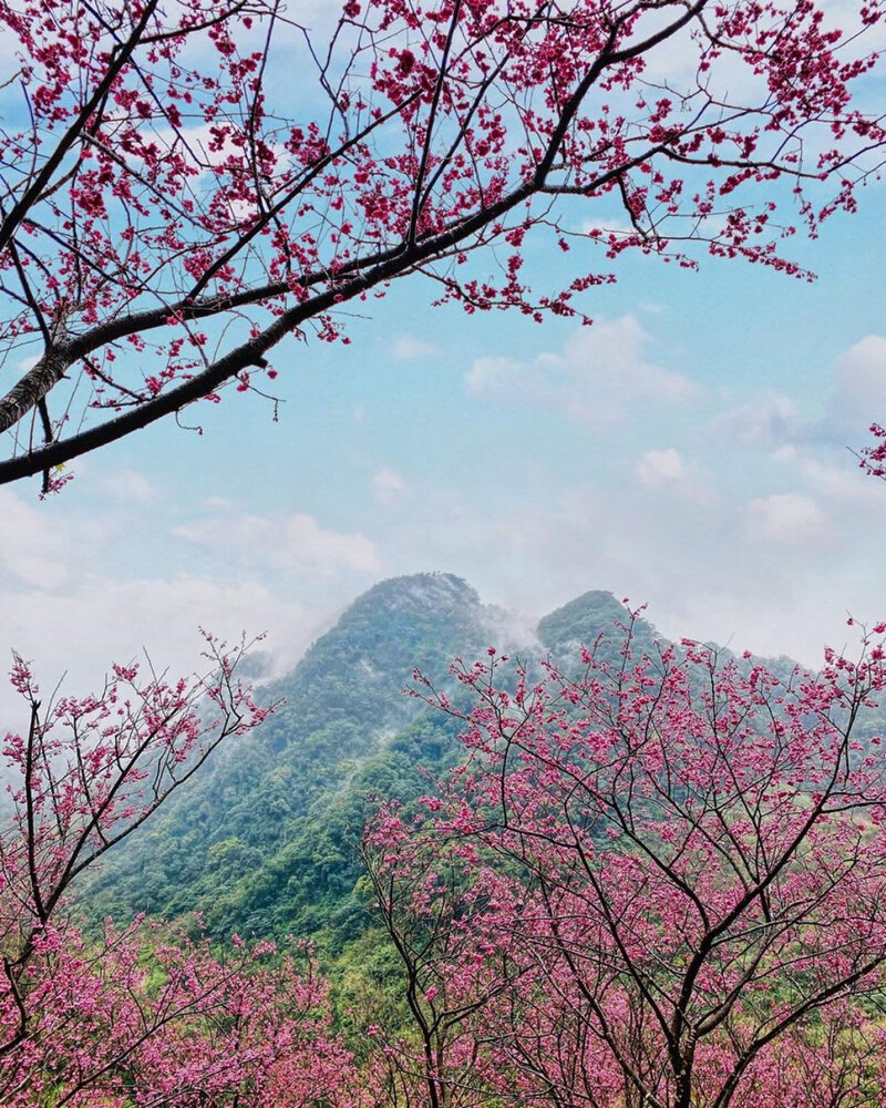 圖片來源：IG @chi_yu777