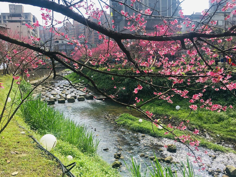 圖片來源：IG @katezhou