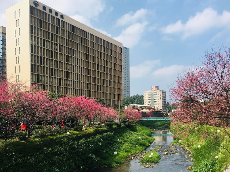 圖片來源：IG @katezhou