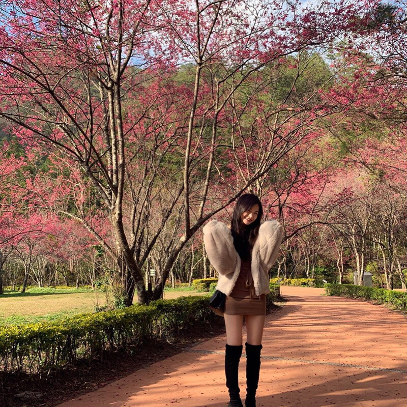 圖片來源：IG @zhizhi4mela