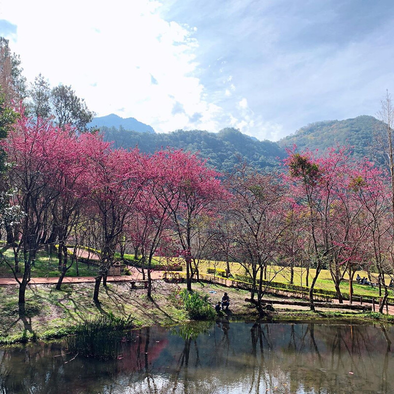 圖片來源：IG @chen_yi_525